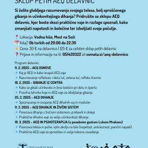 SKLOP PETIH AEQ DELAVNIC