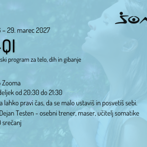 Soma-Qi